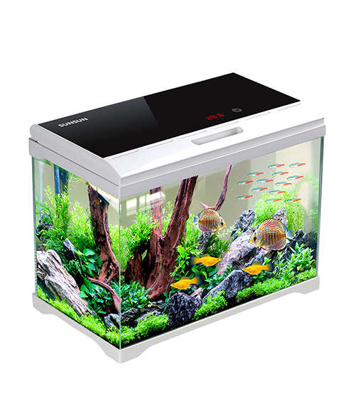 An aquarium is a glass or plastic tank that is used to house fish and other aquatic animals