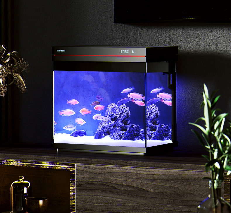 How can natural lighting or artificial lighting be optimized in aquarium big fish tanks for plant growth and fish behavior?