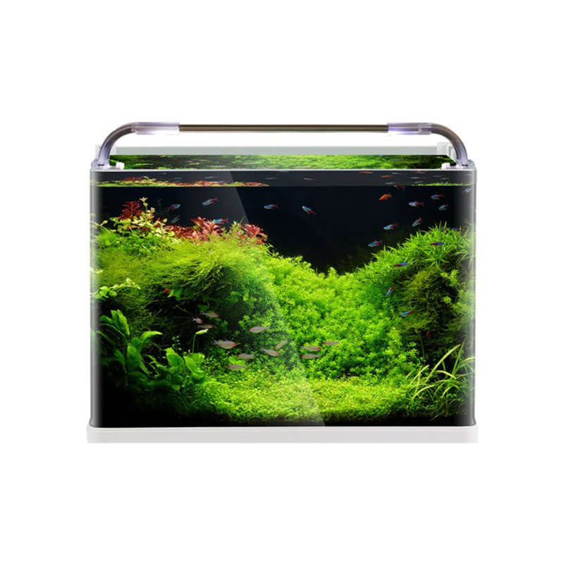 How do you deal with algae outbreaks in large aquarium fish tanks?