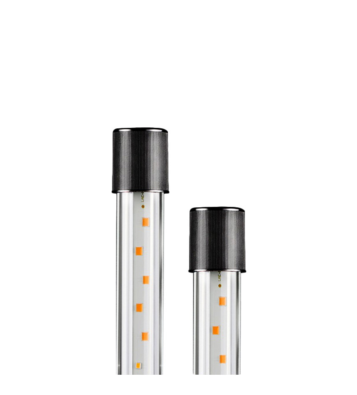 Dream Blue and White Series (Special Lamps for Ci Silk)