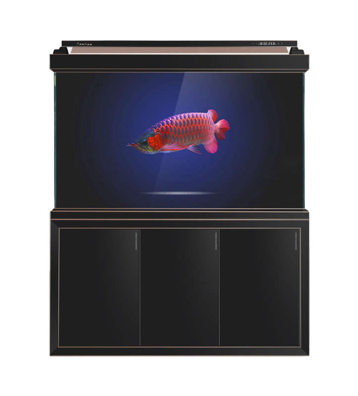 H2FU Series Partition screen bottom filter aquarium fish tank