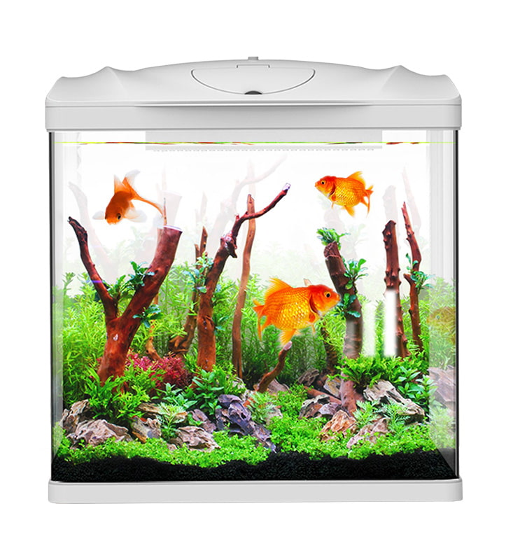 Custom HR Series Hd Glass Desktop Fish Tank Suppliers, ODM Factory - Sensen  Group Co., Ltd