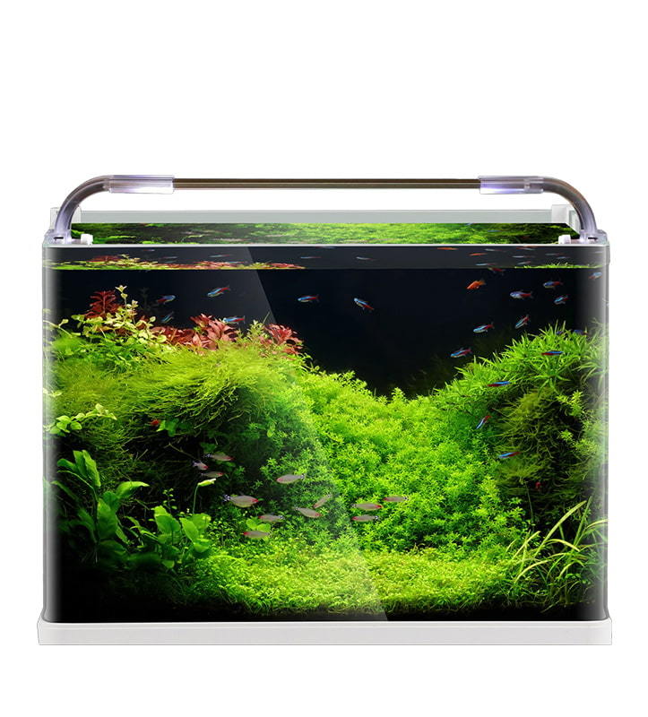 HRK Series Open Small Fish Tank