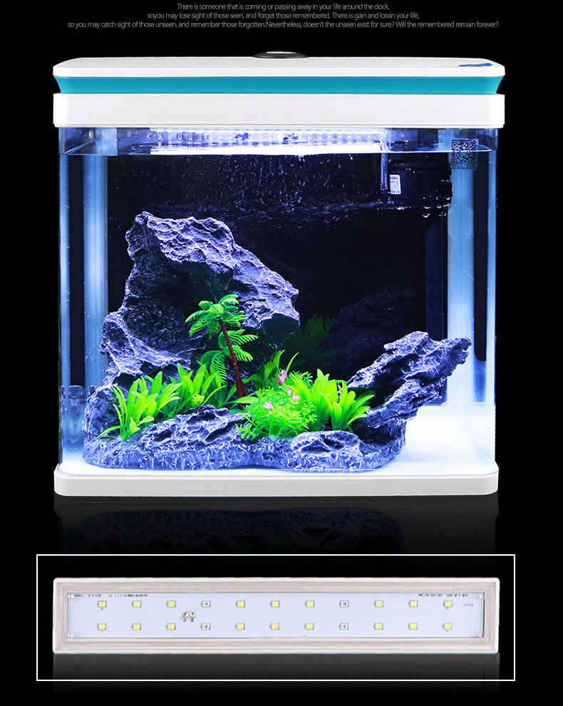 What are the key considerations for maintaining water quality in aquarium big fish tanks?