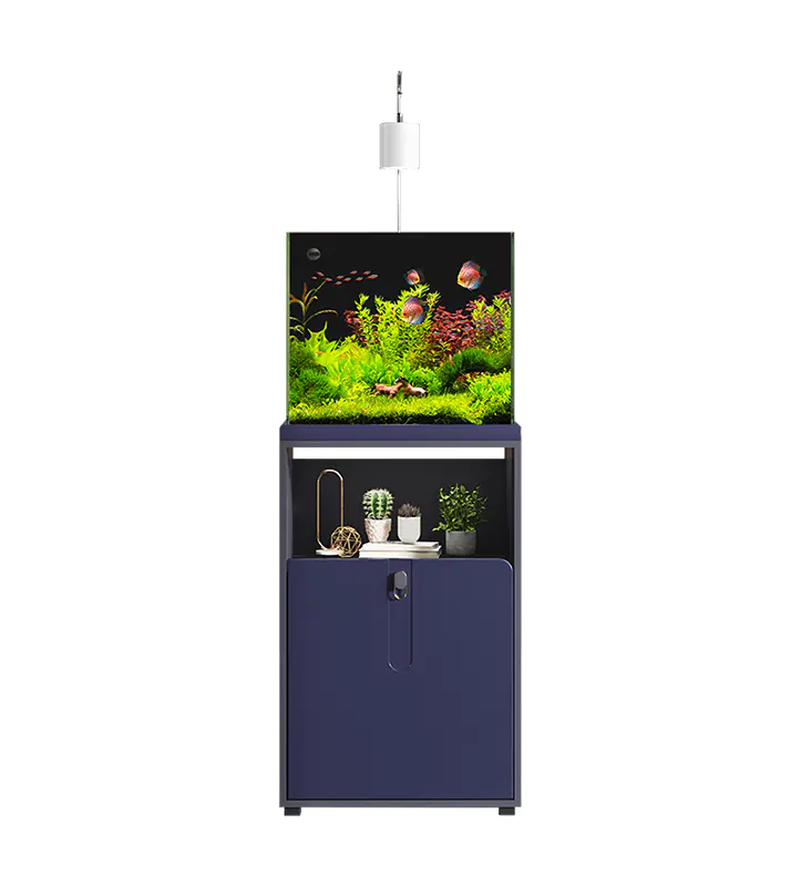 How to Choose Aquarium Fish Tank Fish: A Practical Guide for Beginners